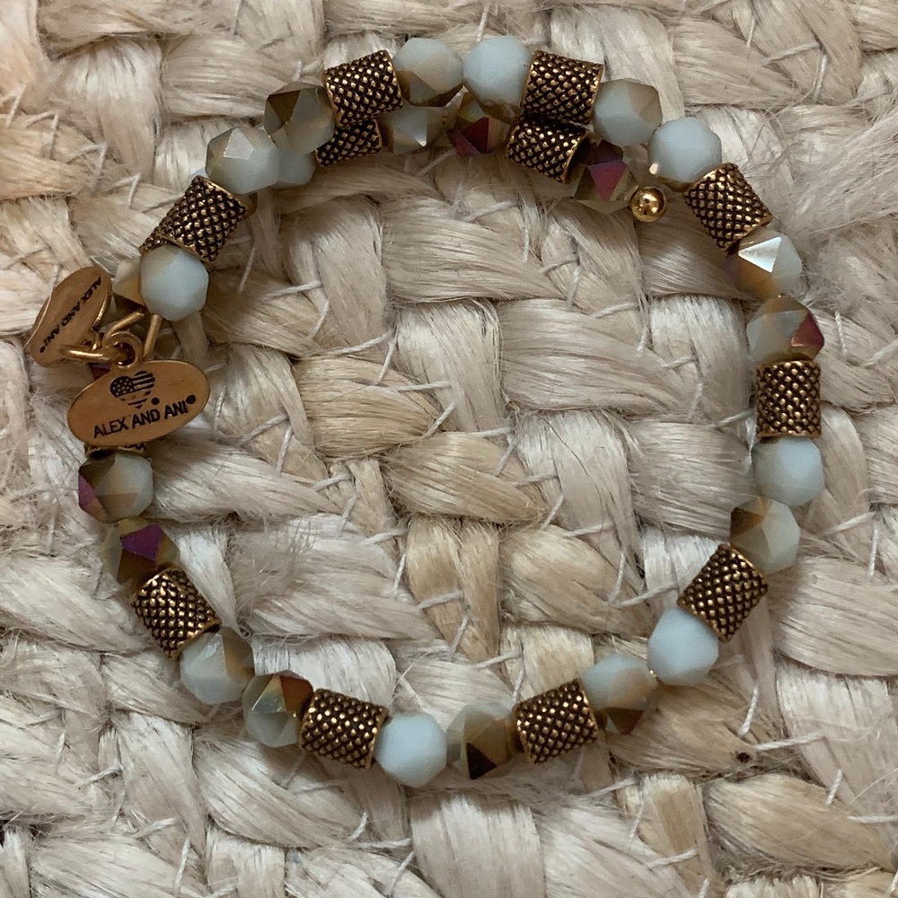 Alex and Ani Charm Bracelet